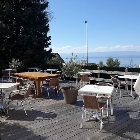 L'oasis 3*